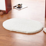 Soft Water Absorption Bath Mats Toilet Floor Doorway Rug